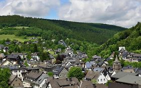 Beautiful Apartment In Willingen With Balcony